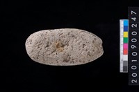 藏品(石錘)的圖片