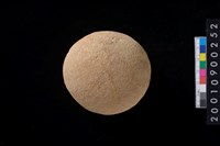 藏品(石托)的圖片