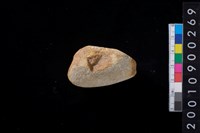 藏品(砥石)的圖片