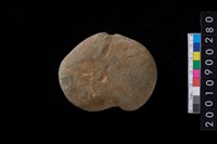 藏品(石網墜)的圖片