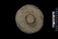 藏品(石蓋)的圖片