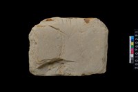 藏品(砥石)的圖片