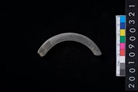 藏品(石環)的圖片