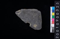 藏品(方形多孔器)的圖片