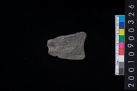 藏品(石鏃)的圖片