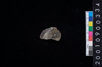 藏品(刮削器)的圖片