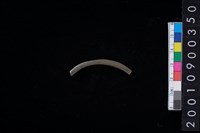 藏品(玉耳飾)的圖片