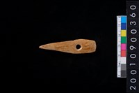 藏品(骨鏃)的圖片