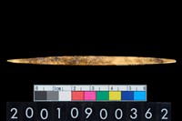 藏品(骨尖器)的圖片