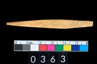 藏品(骨尖器)的圖片