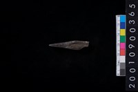 藏品(骨尖器)的圖片