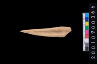 藏品(骨尖器)的圖片