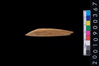 藏品(骨尖器)的圖片