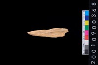 藏品(骨尖器)的圖片