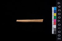 藏品(骨尖器)的圖片