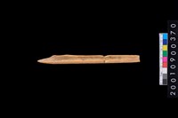 藏品(骨尖器)的圖片