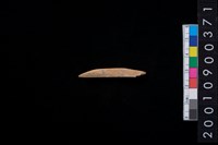 藏品(骨尖器)的圖片