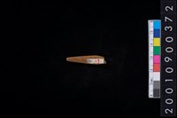 藏品(骨尖器)的圖片