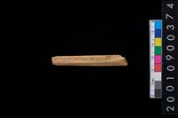 藏品(骨尖器)的圖片