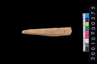 藏品(骨尖器)的圖片