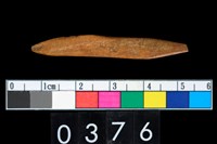 藏品(骨尖器)的圖片