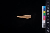 藏品(骨尖器)的圖片