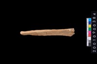 藏品(骨鑿器)的圖片