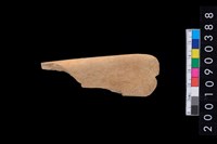 藏品(骨鑿器)的圖片