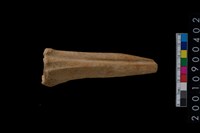 藏品(骨鑿器)的圖片