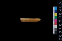 藏品(骨鑿器)的圖片