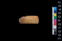 藏品(骨鑿器)的圖片