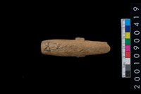 藏品(骨叉)的圖片