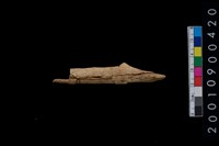 藏品(骨叉)的圖片