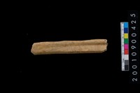 藏品(骨鑿殘件)的圖片