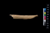 藏品(獸骨)的圖片