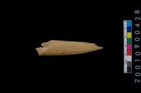 藏品(骨鑿殘件)的圖片