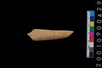 藏品(骨鑿殘件)的圖片