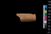 藏品(骨鑿殘件)的圖片