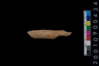 藏品(獸骨)的圖片