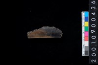 藏品(骨鑿殘件)的圖片