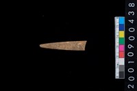 藏品(骨尖器)的圖片