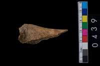 藏品(骨鑿殘件)的圖片