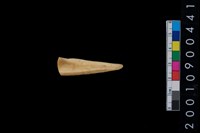 藏品(骨鑿殘件)的圖片