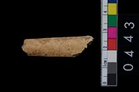 藏品(骨鑿殘件)的圖片