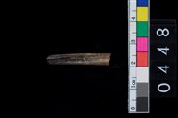 藏品(骨器殘件)的圖片