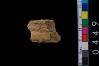 藏品(骨鑿殘件)的圖片