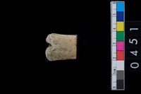 藏品(不明骨器)的圖片