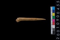 藏品(骨尖器)的圖片