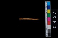 藏品(獸骨)的圖片