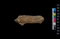 藏品(獸骨)的圖片